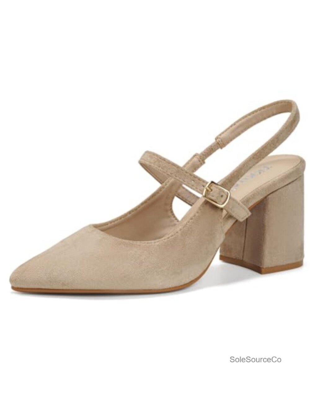 Women's Pointed Toe High Heels 3 Inch Chunky Block Heel Ankle Strap PU Dress
